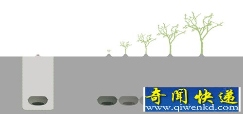 环保的树葬 Coffin宠物棺材