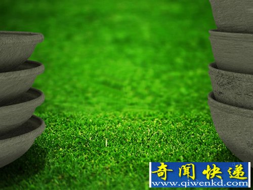 环保的树葬 Coffin宠物棺材