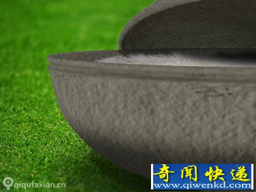 环保的树葬 Coffin宠物棺材