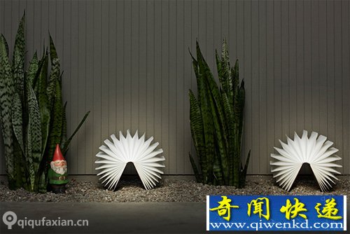 Lumio 一本书 一盏灯