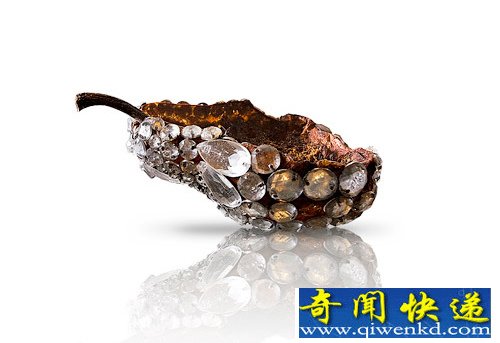 腐烂的水果 tiffany珠宝