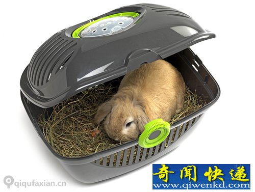 Toprunner 小宠物的旅行窝 非常的方便
