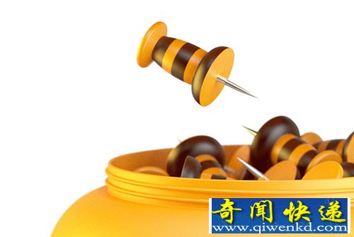 Gifts buttons 一窝图钉 钉子就是蜜蜂的尾刺