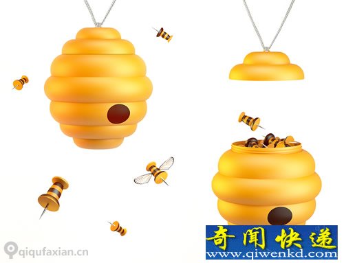 Gifts buttons 一窝图钉 钉子就是蜜蜂的尾刺