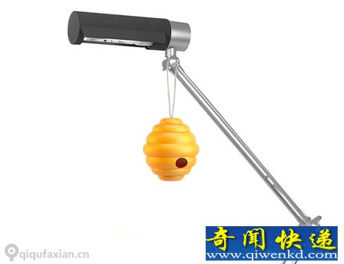 Gifts buttons 一窝图钉 钉子就是蜜蜂的尾刺