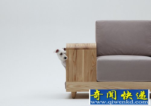 “狗屋沙发”为m.pup 的首款宠物家具