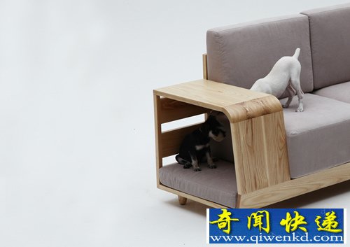 “狗屋沙发”为m.pup 的首款宠物家具