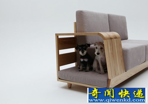 “狗屋沙发”为m.pup 的首款宠物家具