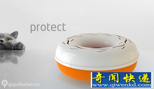 Ring 多能果盘 其更注重实用性
