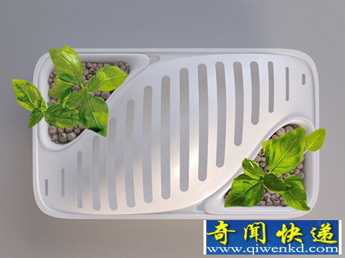 Fluidity碗碟架 还能种植花花草草