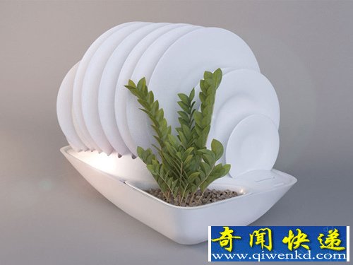 Fluidity碗碟架 还能种植花花草草