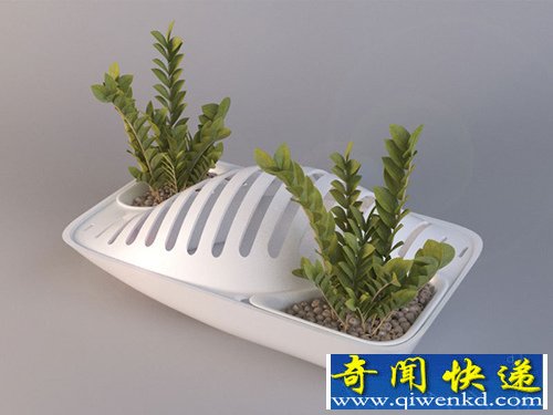 Fluidity碗碟架 还能种植花花草草