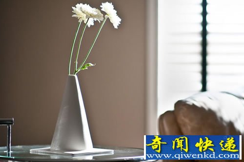rudebaker花瓶 桌子上的“路锥”