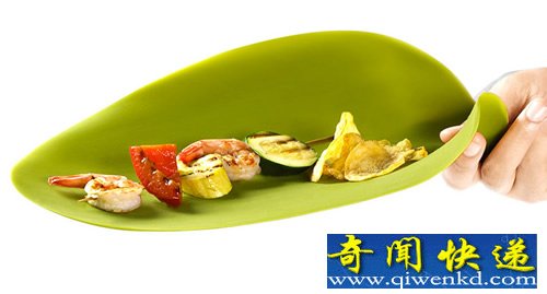 片片树叶 seasons托盘 相当艺术