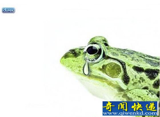杜蕾斯5个创意广告,看看你能看懂几个