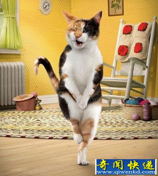 让你大跌眼镜的国外广告创意,你看出来了吗?