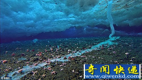 地球生命起源新说法 可能来自“死亡冰柱”或是海洋