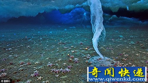 地球生命起源新说法 可能来自“死亡冰柱”或是海洋