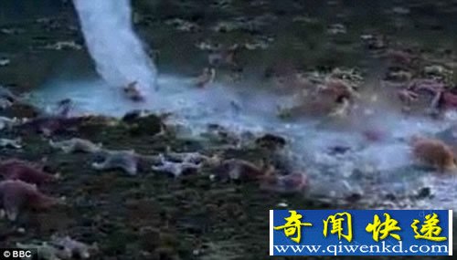 地球生命起源新说法 可能来自“死亡冰柱”或是海洋
