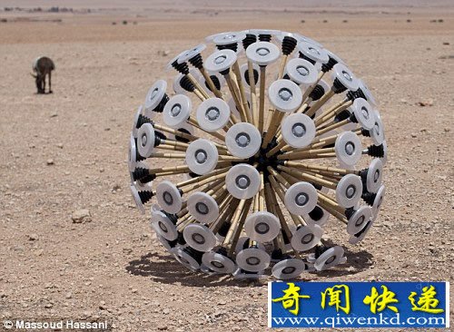 巨大的“蒲公英”装置 滚动在风中引爆地雷