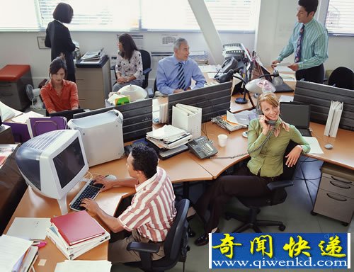 职场人生 10次面试 125天病假 1段办公室恋情
