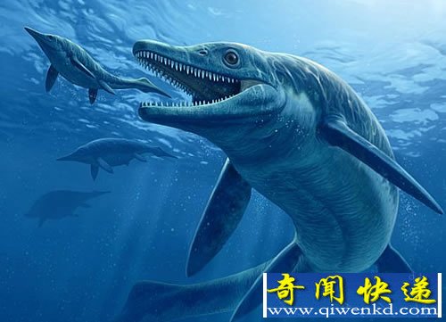 史前海洋中的“顶级掠食者” 需要吞食数吨重的食物