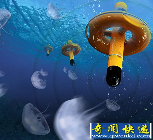箱形水母”发出的毒素是世界最毒的毒素