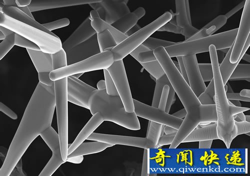 aerographite 世界上最轻的材料 其密度仅为0.2毫克/立方厘米