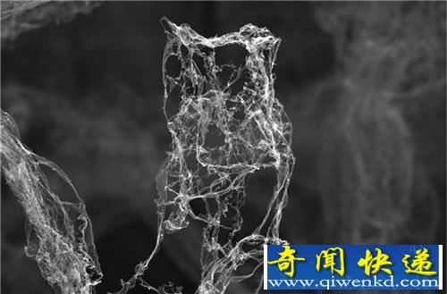 aerographite 世界上最轻的材料 其密度仅为0.2毫克/立方厘米
