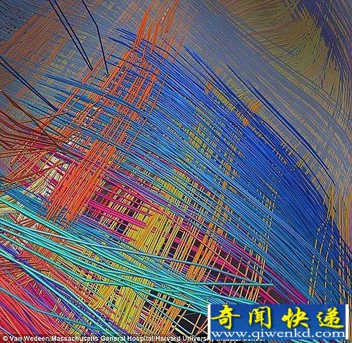 宇宙中最复杂的地形 美妙的人脑内部结构