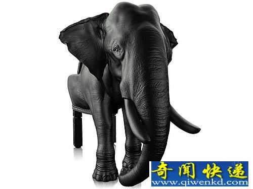 大象椅 整体形态是用压缩泡沫制作的