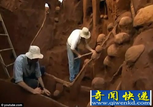 巨大地下蚂蚁王国 规模堪比中国的长城