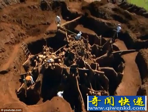 巨大地下蚂蚁王国 规模堪比中国的长城