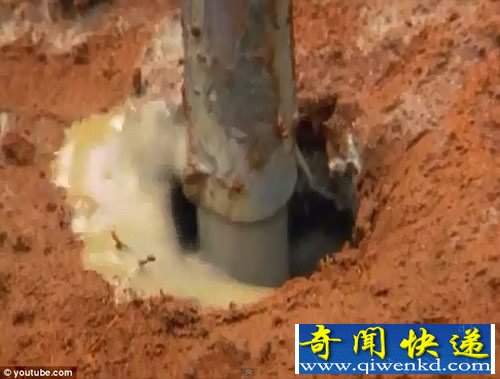 巨大地下蚂蚁王国 规模堪比中国的长城