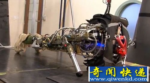 PETMAN 会出汗的机器人 能够通过释放热量和液体