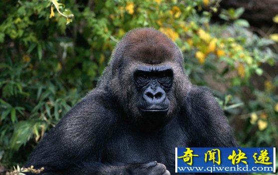 Ⱥ췴ɱ䡾ͼѶ