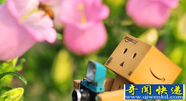 2013年安徽高考零分作文:为什么会这样?为什么不能这样?