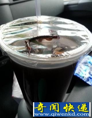 这红茶真有“料” 喝红茶“送”蜈蚣