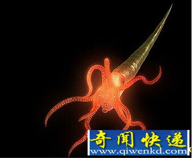 探索史前十二大深海怪物