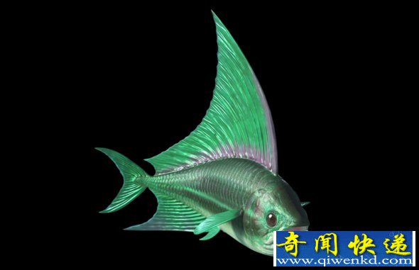 探索史前十二大深海怪物