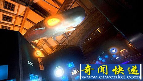盘点深海怪异生物