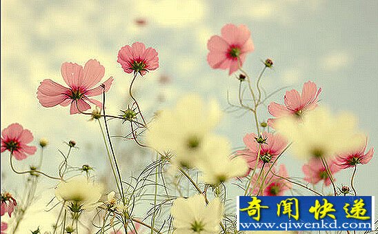十个惊人证据揭示轮回存在