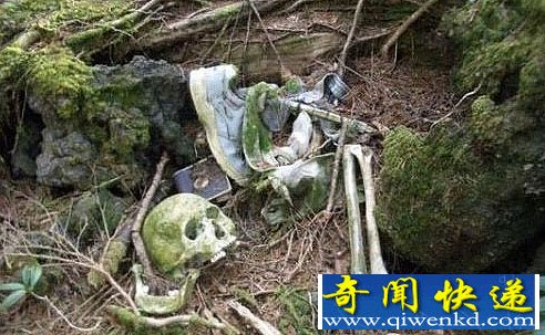 阴森恐怖的日本自杀森林 每年陈尸近百具