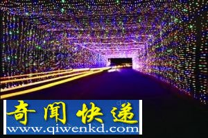 盘点世界上十大令人惊异的隧道 比如迷人的紫藤隧道