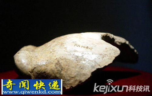 “北京人头盖骨”化石就不知所踪,至今此谜一直于破解中!