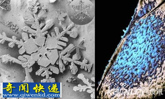 NASA发现宇宙神秘无定形冰 这可能是宇宙中最常见的“水”