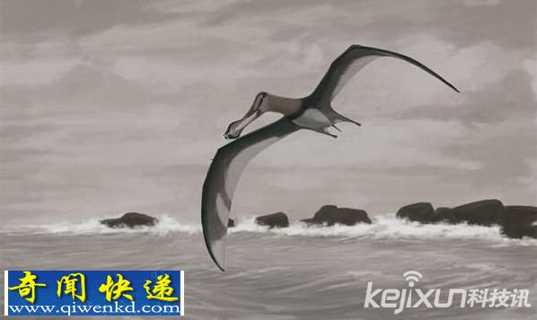 盘点地球十大传奇神秘生物 世界之大无奇不有