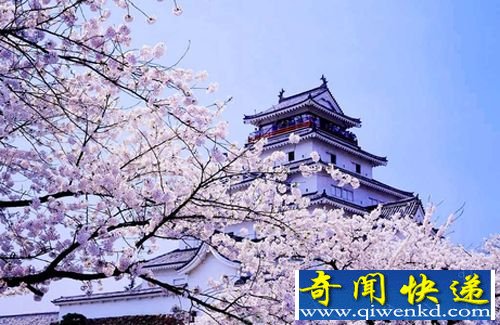 韩国生育率越来越低 或将在700后灭绝