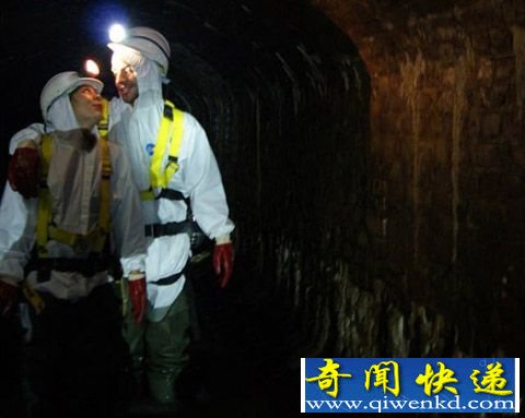 英新婚夫妻“脂肪山”里庆祝结婚纪念日