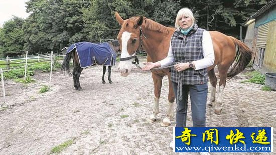 德男子夜晚性侵农场马匹 监控录下全过程场主报警